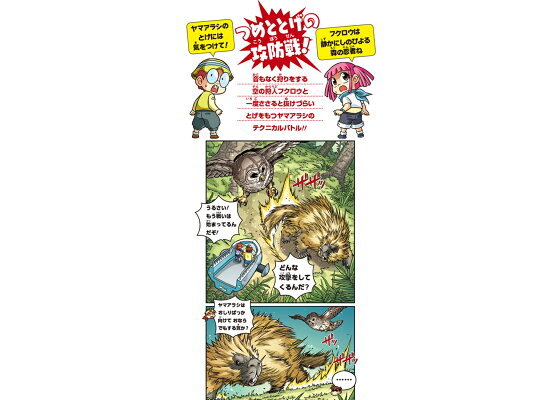 楽天ブックス どっちが強い フクロウvsヤマアラシ 森の最強鳥獣バトル スライウム 本 楽天ブックス どっちが強い フクロウvsヤマアラシ 森の最強鳥獣バトル スライウム 本
